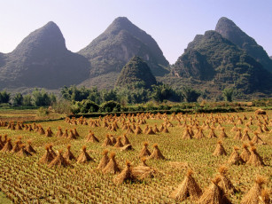Картинка природа поля горы поле снопы
