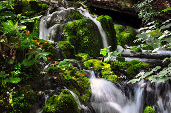 Картинка природа водопады мох камни каскад