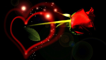 Картинка праздничные день св валентина сердечки любовь роза