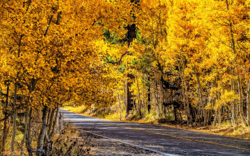 обоя природа, дороги, дорога, осень, пейзаж