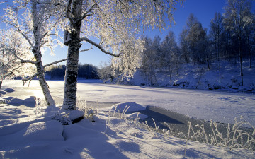 Картинка природа зима река снег деревья