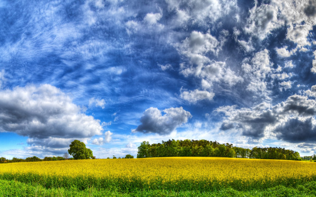 Обои картинки фото природа, поля, небо, деревья, облака, земля, трава
