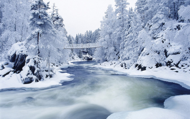 Обои картинки фото природа, реки, озера, река, мост, деревья, снег