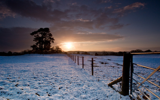 Обои картинки фото природа, зима, снег, поле, ограда, сумрак