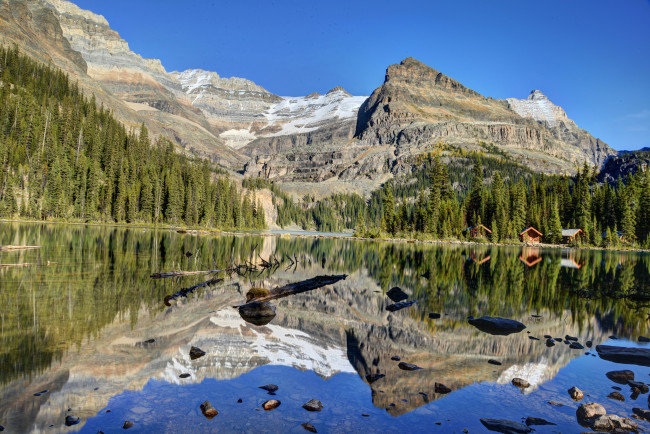 Обои картинки фото lake, o`hara, yoho, national, park, canada, природа, реки, озера, канада, лес, горы, отражение, озеро, ohara