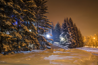 Картинка природа зима ночь фонари ели снег огни