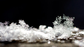 Картинка природа макро зима блеск снежинки