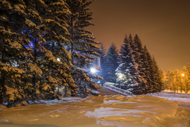 Обои картинки фото природа, зима, ночь, фонари, ели, снег, огни