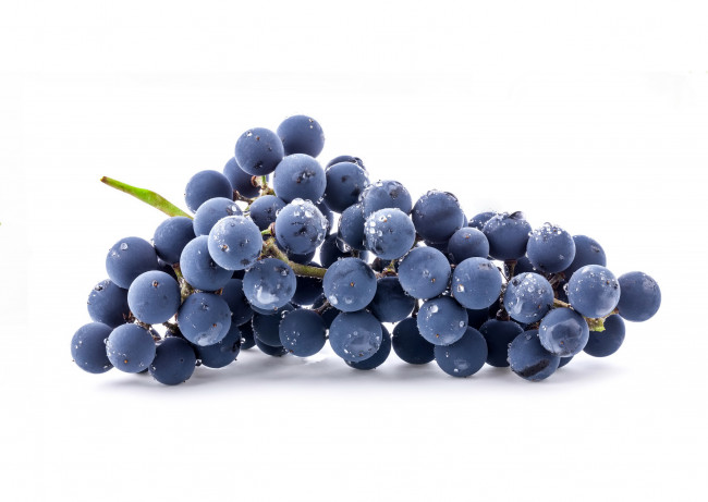 Обои картинки фото еда, виноград, фрукты, синий
