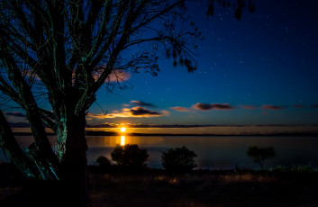 Картинка природа восходы закаты закат солнце деревья берег море вечер