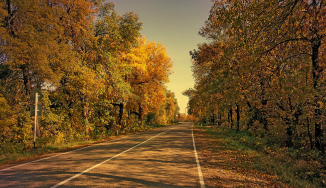 Обои картинки фото природа, дороги, лес, шоссе, осень