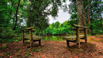Картинка природа парк озеро скамейки