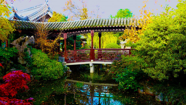 Обои картинки фото природа, парк, японский, водоем, сад, беседка