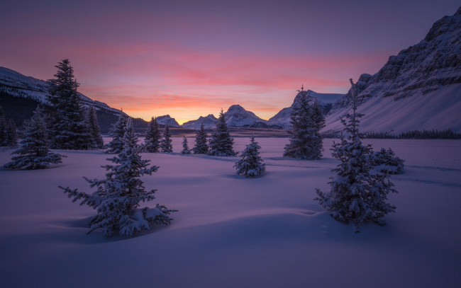 Обои картинки фото природа, зима, деревья, альберта, рассвет, небо, banff, national, park, канада, снег, банф, долина, горы