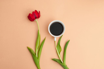 Картинка еда кофе +кофейные+зёрна тюльпан чашка листья композиция