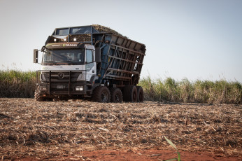 обоя автомобили, mercedes trucks, mercedes