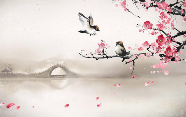 Обои картинки фото рисованное, животные,  птицы, ветка, цветение, птицы, мост