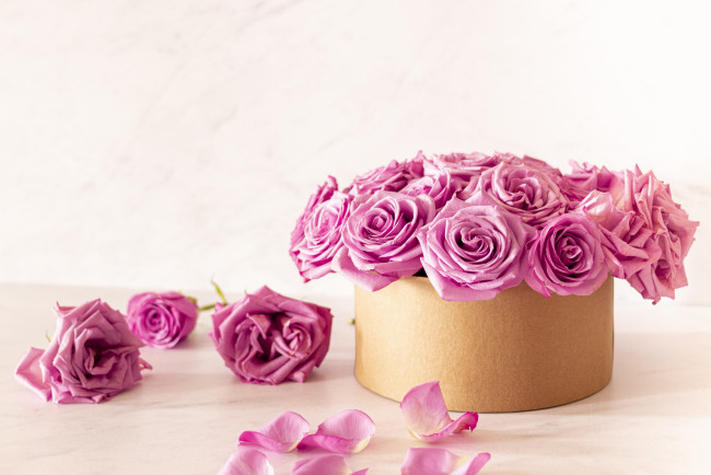 Обои картинки фото цветы, розы, фон, коробка