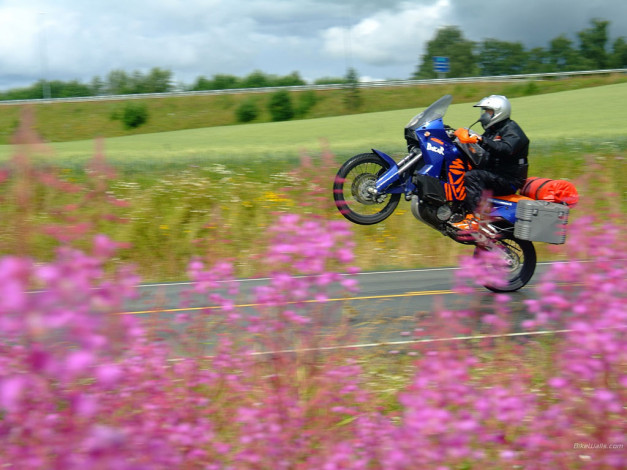 Обои картинки фото ktm, 990, adventure, мотоциклы
