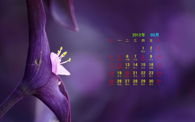 Обои картинки фото календари, цветы, цветок