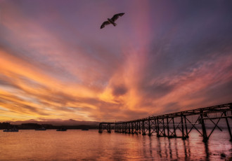 Картинка new zealand природа восходы закаты мост гавань море новая зеландия