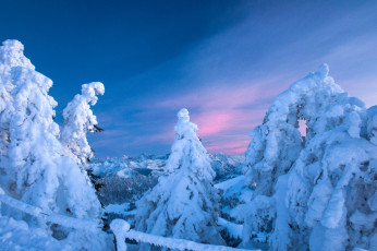 Картинка switzerland природа зима швейцария горы ели снег