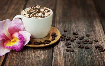 Картинка еда кофе кофейные зёрна цветок орхидея зерна чашка