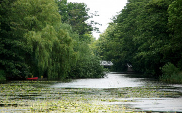 Картинка природа парк мостик лодка кувшинки пруд