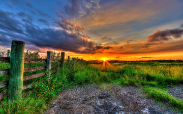 Картинка природа восходы закаты трава изгородь свет поле