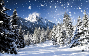 Картинка природа зима деревья ёлки снег горы