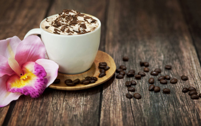 Обои картинки фото еда, кофе, кофейные, зёрна, цветок, орхидея, зерна, чашка