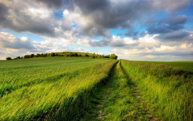 Обои картинки фото природа, поля, пле, трава, облака, колея
