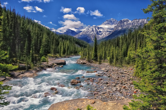 Обои картинки фото mistaya, river, banff, national, park, alberta, canada, природа, реки, озера, горы, лес, банф, альберта, канада, река