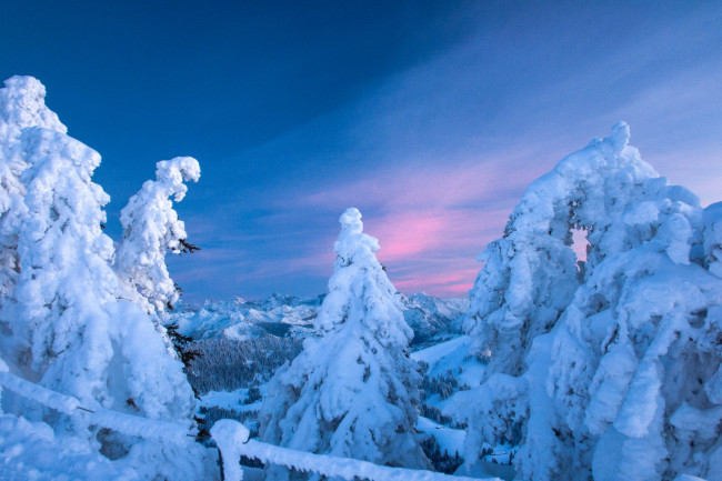 Обои картинки фото switzerland, природа, зима, швейцария, горы, ели, снег