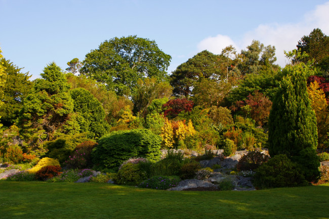 Обои картинки фото muckross, garden, ireland, природа, парк, кусты