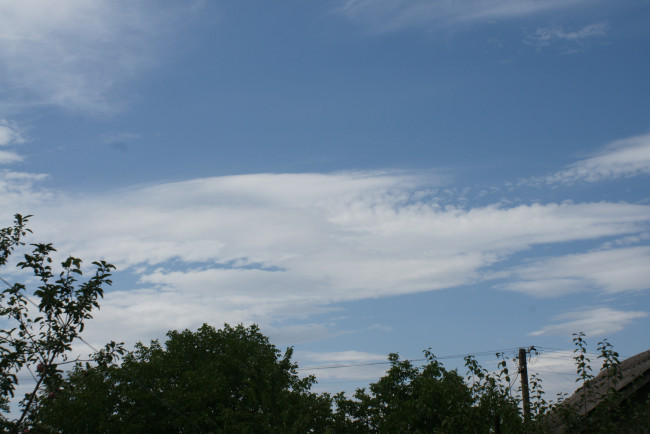 Обои картинки фото природа, облака, небо, деревья