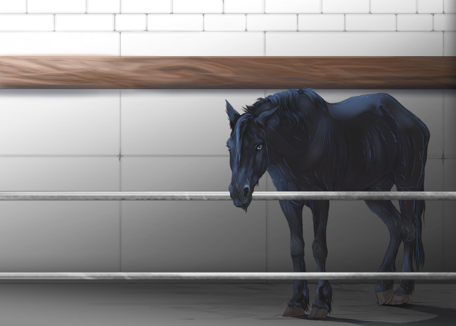 Обои картинки фото рисованные, животные,  лошади, забор, лошадь