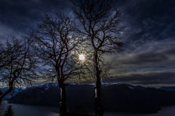 Картинка природа восходы закаты пейзаж деревья ветки силуэты небо ночь