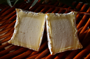 Картинка chaource еда сырные+изделия сыр