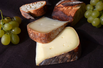 Картинка le+trucou еда сырные+изделия сыр