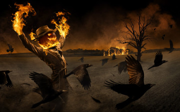 Картинка праздничные хэллоуин crow pumpkis halloween ravens fire care