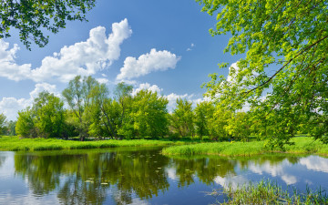 Картинка природа реки озера пейзаж деревья зелено трава небо облака