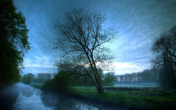 Картинка природа реки озера ручей деревья туман рассвет утро