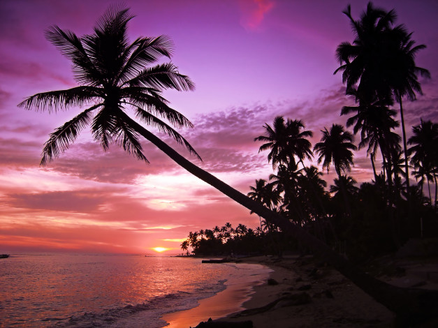 Обои картинки фото природа, восходы, закаты, пейзаж, остров, пляж, пальмы, силуэты, море, волны, закат, небо