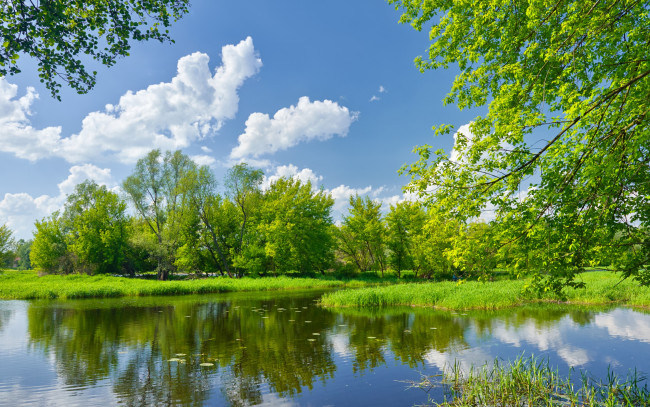 Обои картинки фото природа, реки, озера, пейзаж, деревья, зелено, трава, небо, облака