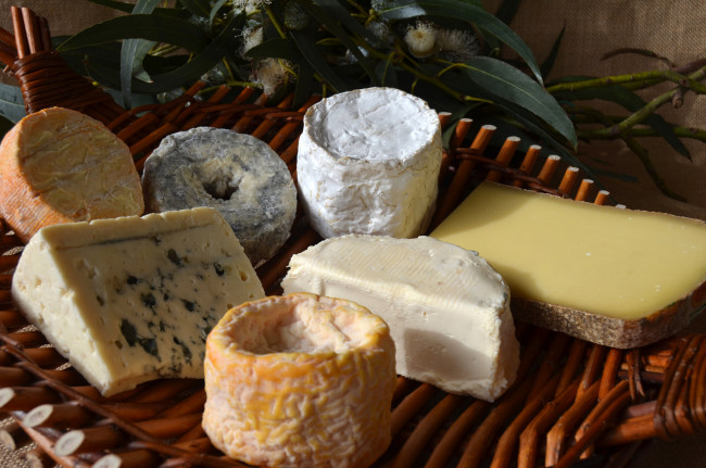 Обои картинки фото tabla de quesos de navidad 2014, еда, сырные изделия, сыр
