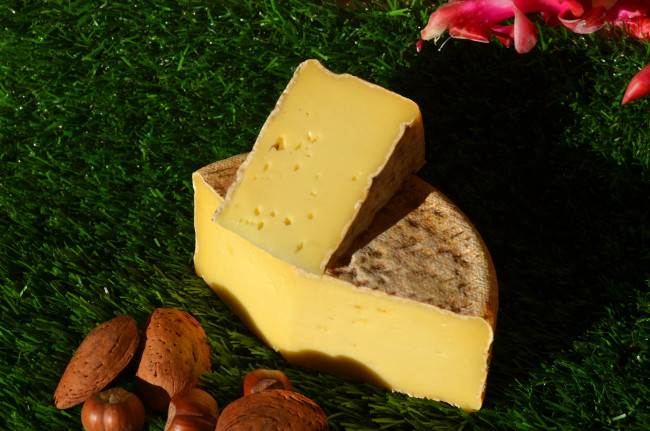 Обои картинки фото tommette des pyreenees, еда, сырные изделия, сыр