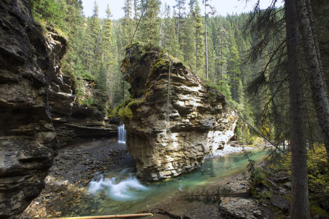 Обои картинки фото природа, водопады, водопад, река, скала, лес