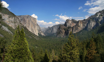 Картинка sequoia+national+park природа горы скалы sequoia деревья лес park national