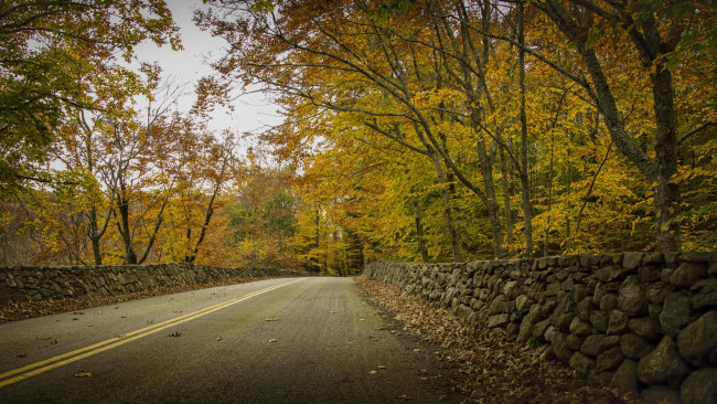 Обои картинки фото природа, дороги, панорама, пейзаж, деревья, дорога, осень